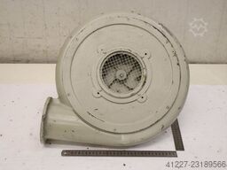Dietz DG 71 b 1286