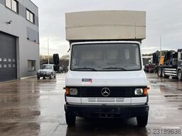 Mercedes-Benz Vario 814 (POMPE MANUELLE / MANUAL PUMP / LAMES...