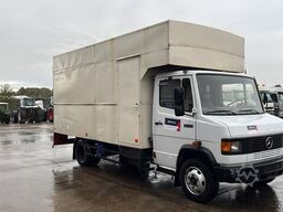 Mercedes-Benz Vario 814 (POMPE MANUELLE / MANUAL PUMP / LAMES...