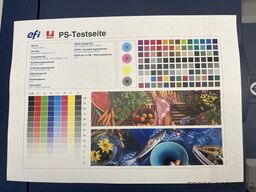 Xerox Versant 80 Press incl. Fiery Booklet finisher, Trimmer, SQF