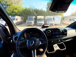 MERCEDES-BENZ STX Sprinter  GG 4,100KG  Haras Hengste