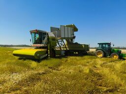 Chamomile flower harvester CLAAS DOMINATOR, MEGA, MEDION
