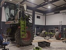 Chamomile flower harvester CLAAS DOMINATOR, MEGA, MEDION