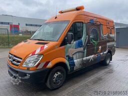 Mercedes-Benz 519 CDI