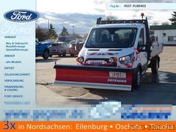 FORD Transit 350L3 Kipper Winterdienst Schild+Streue