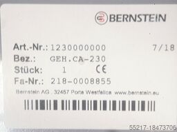 Bernstein GEH CA