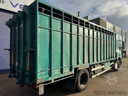 DAF 65.210 **BELGIAN TRUCK-FULL STEEL**