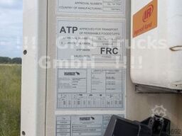 SCHMITZ CARGOBULL Frigo Thermo King / Multi Temp / DS