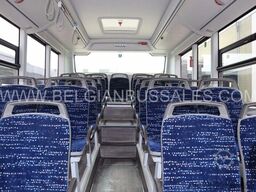 MAN Lion's Intercity LE / Citybus / 12C / Citaro LE...