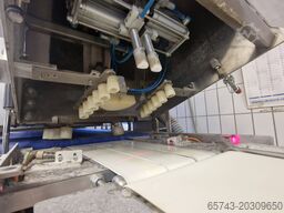 Lippelt-BRS BRS 1500
