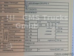 FIAT Ducato Multijet 130 / wenig Km / load 1400kg