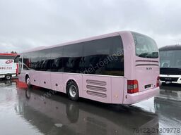 MAN R 12 Lions Regio