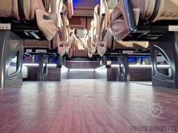 MERCEDES-BENZ 519 und 517 Glasdach XXL  20 Sitze Stock