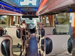 MERCEDES-BENZ 519 und 517 Glasdach XXL  20 Sitze Stock