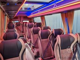 MERCEDES-BENZ 519 und 517 Glasdach XXL  20 Sitze Stock