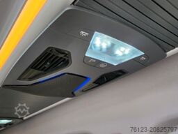 MERCEDES-BENZ 319 Sprinter VIP Shuttle 9 Sitzer Panoramadach