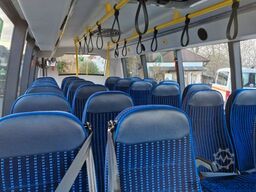 IVECO Daily C 70 City Niederflur 34 PAX auch als CNG