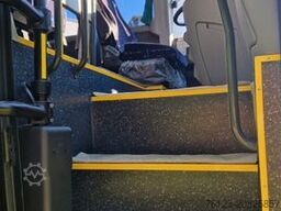 TEMSA Prestij SX Novo Lux Daily