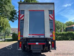 DAF CF 75.360 FAS 9 TON DHOLLANDIA LAADKLEP