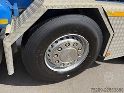 Scania G490 CB 10x4 Thermokipper