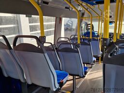 IVECO Daily Heckniederflur Elektro City Sprinter alt.