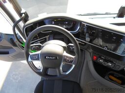 DAF XF 480 FAN 6x2 - CENTINA 24 EPAL