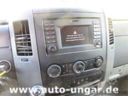 Mercedes-Benz 313 CDI Leichenwagen Bestattungswagen