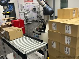 FJ Mayer HYDRA cobot palletizer Vorführmaschine