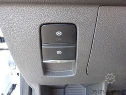 FORD Transit Kombi 350 L3H2 Trend 2xKlima Rampe KMP
