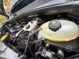 RENAULT Master 2.3 Dci Kasten L3H2 9.000 km Wie Neu!!!