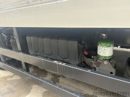 VOLVO FL 42 (FL 250)