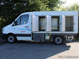 MERCEDES-BENZ Sprinter 310 ColdCar 3+3 Türen  -33°C