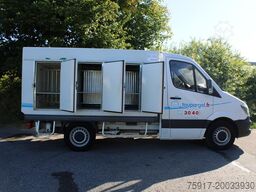 MERCEDES-BENZ Sprinter 310 ColdCar 3+3 Türen  -33°C