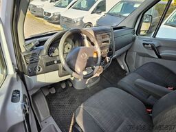MERCEDES-BENZ Sprinter 313 CDI -32°C 230V THERMO KING 1.HAND