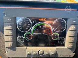 FAE PT 300 / 273h! / Forstmulcher / Bodenfräse