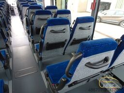 IVECO Crossway 10,7 mtr NEU 3 Stück auf Lager