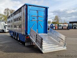 Pezzaioli New 3 stock livestock trailer 95.4M2 - Water & ...