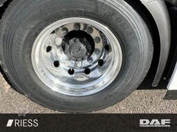 DAF XG 530 FT Alcoa Leder Vollluft Standklima