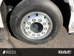 DAF XG 530 FT Alcoa Leder Vollluft Standklima