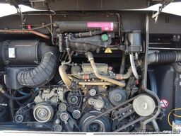 MERCEDES-BENZ Tourismo RHD, 55 Sitze, Euro 6