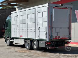 VOLVO FH 460 6x2 LL 3.Stock KABA Viehtransporter