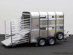 Ifor Williams TA5 | 8x6 | DOPPELSTOCK 241X156X183CM VIEHANHÄNGER | 2X LÜFTUNG