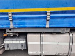 IVECO MOTRICE IVECO STRALIS 480 CON RIMORCHIO BIGA