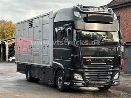 DAF XF 530 4x2 Finkl 2.Stock Viehaufbau