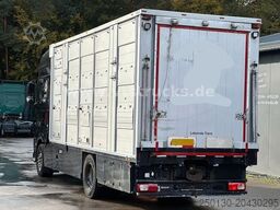 DAF XF 530 4x2 Finkl 2.Stock Viehaufbau