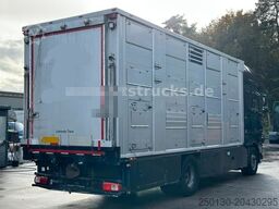 DAF XF 530 4x2 Finkl 2.Stock Viehaufbau