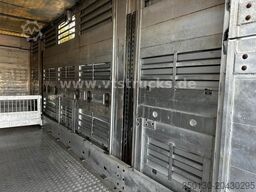 DAF XF 530 4x2 Finkl 2.Stock Viehaufbau