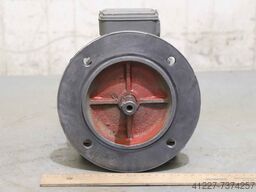 IAEA MA 80-19F165 -4