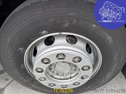 MAN TGX 460