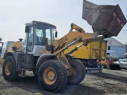 Liebherr-Werk Bischofshofen GmbH L 524